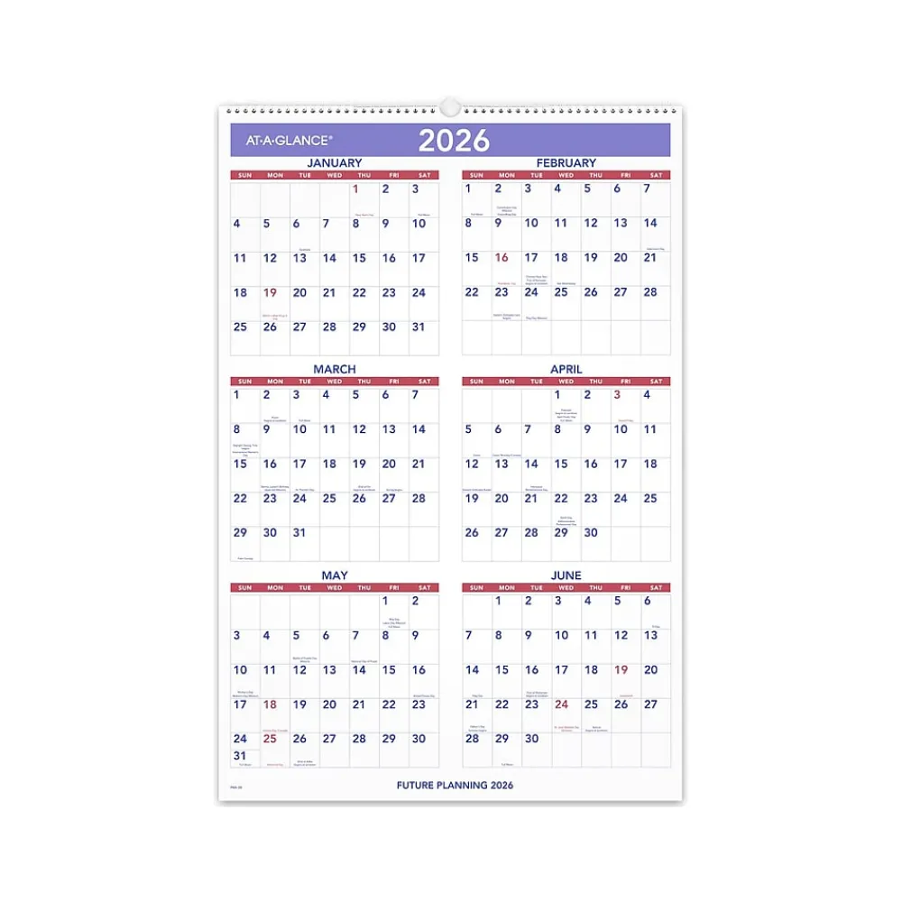 2025 Calendars|AT-A-GLANCE 2025 20" x 30" Monthly Wall Calendar, White/Purple (PM4-28-25)