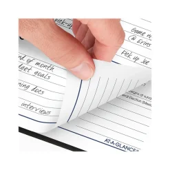 Academic Planners|AT-A-GLANCE 2024-2025 DayMinder 3.5