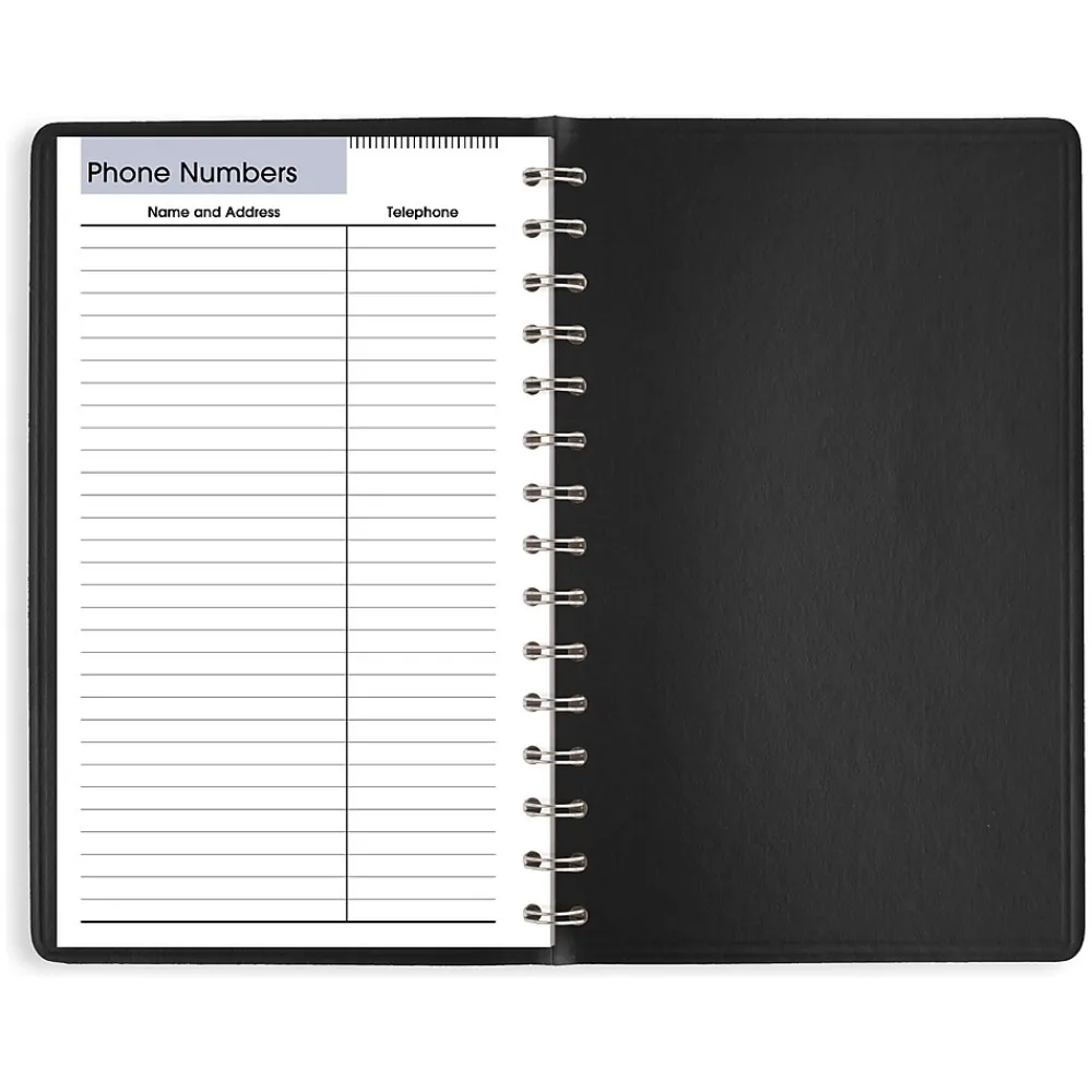 2025 Planners|AT-A-GLANCE 2025 DayMinder 5" x 8" Daily Planner, Faux Leather Cover, Black (SK46-00-25)