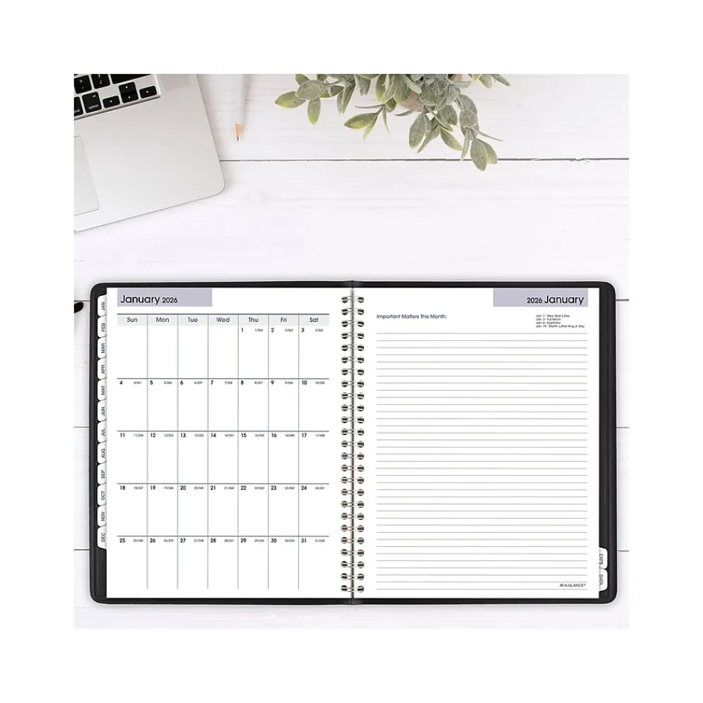 2025 Planners|AT-A-GLANCE 2025 DayMinder Executive 7" x 8.75" Weekly & Monthly Planner, Faux Leather Cover, Black (G545-00-25)