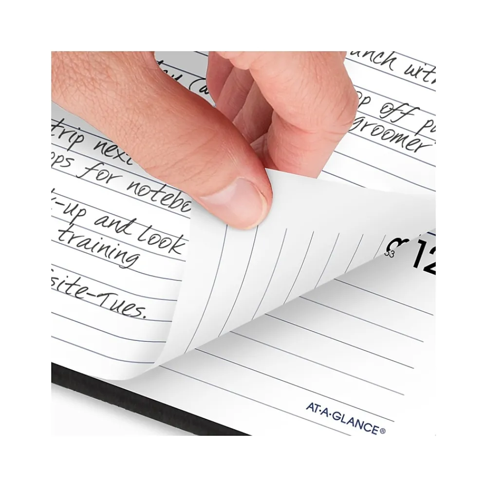 2025 Planners|AT-A-GLANCE 2025 DayMinder Executive 7" x 8.75" Weekly & Monthly Planner, Faux Leather Cover, Black (G545-00-25)