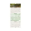 2025 Calendars|AT-A-GLANCE 2025 Scenic 12" x 27" Three-Month Wall Calendar (DMW503-28-25)