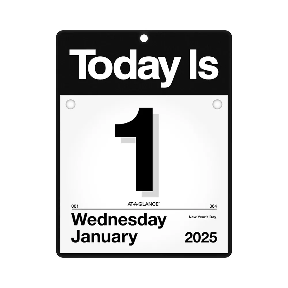 2025 Calendars|AT-A-GLANCE 2025 Today Is 9.5" x 12" Daily Wall Calendar, White/Black (K4-00-25)