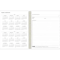 Academic Planners|Blue Sky 2024-2025 Ashley G Multicolor Smoke 8.5