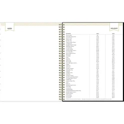 2025 Planners|Blue Sky 2025 Day Designer Austen 8.5