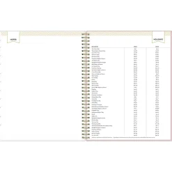 2025 Planners|Blue Sky 2025 Day Designer Breeze 8.5