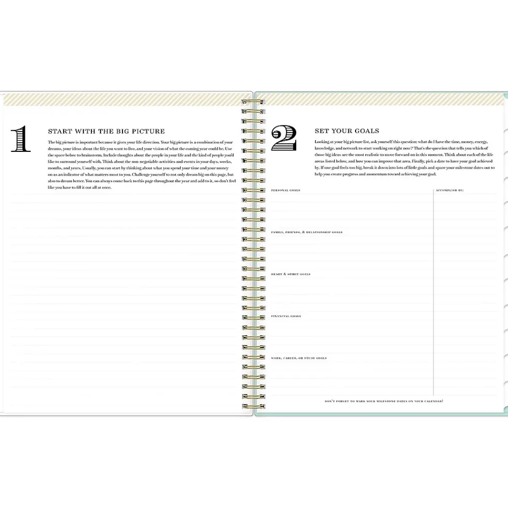 Academic Planners|Blue Sky 2024-2025 Day Designer Flower Field Mint 8.5" x 11" Weekly & Monthly Planner, Plastic Cover, Multicolor (144877)