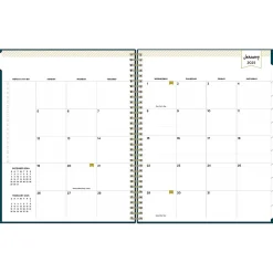 2025 Planners|Blue Sky 2025 Day Designer Peacock 8.5