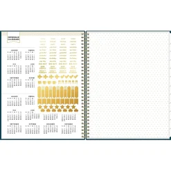 2025 Planners|Blue Sky 2025 Day Designer Peacock 8.5