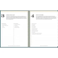 2025 Planners|Blue Sky 2025 Day Designer Peacock 8.5