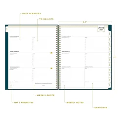 2025 Planners|Blue Sky 2025 Day Designer Peacock 8.5