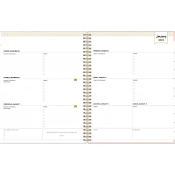 2025 Planners|Blue Sky 2025 Day Designer Roses Blush 8.5" x 11" Weekly & Monthly Planner, Plastic Cover, Multicolor (140092-25)