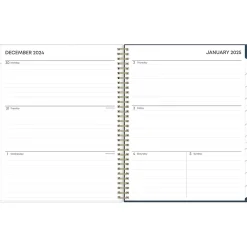 2025 Planners|Blue Sky 2025 Dellania 8.5" x 11" Weekly & Monthly Planner, Plastic Cover, Multicolor (148212)