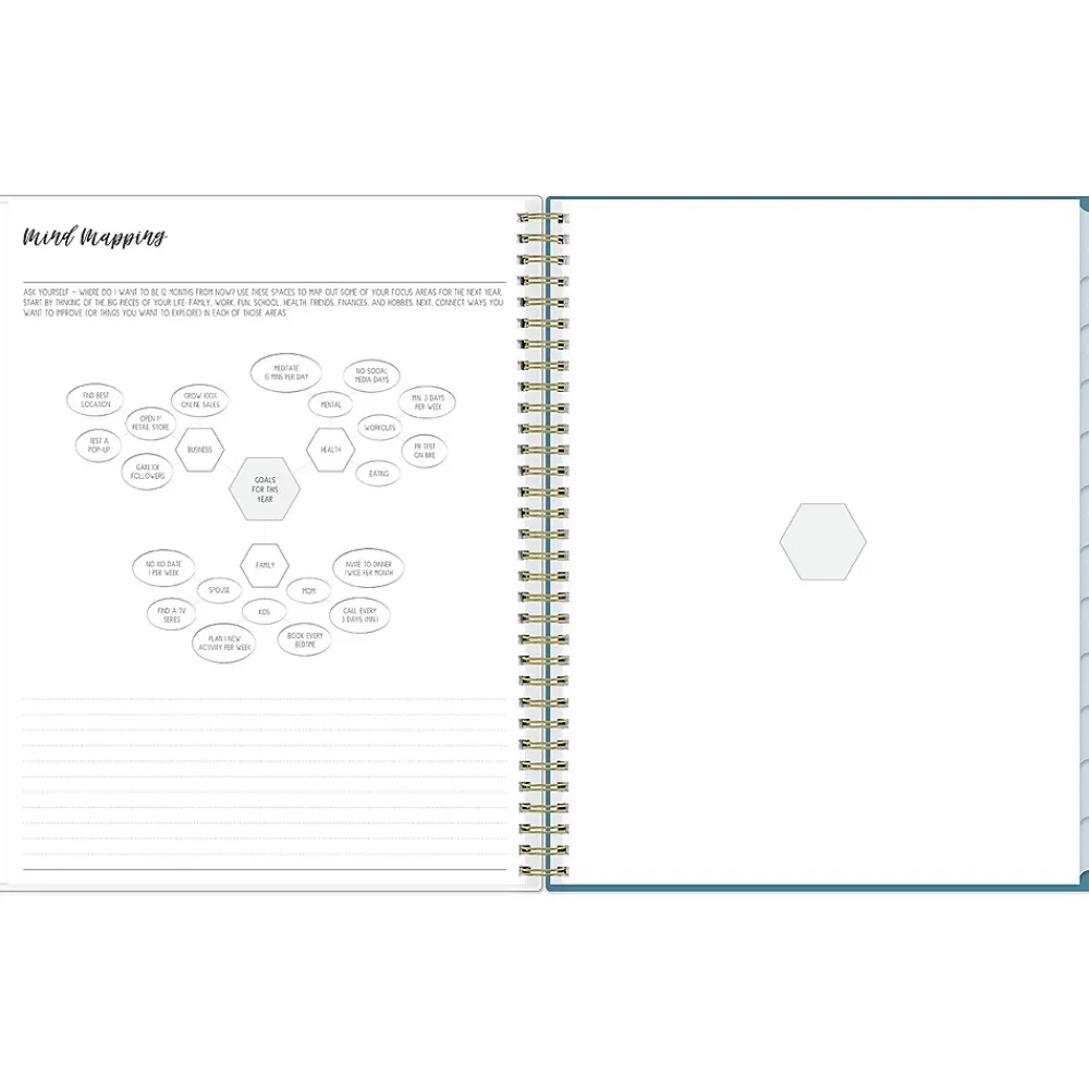 Academic Planners|Blue Sky 2024-2025 Ivory Paper Co Davina 8.5" x 11" Academic Weekly & Monthly Planner, Plastic Cover, Cream/Blue (146878)