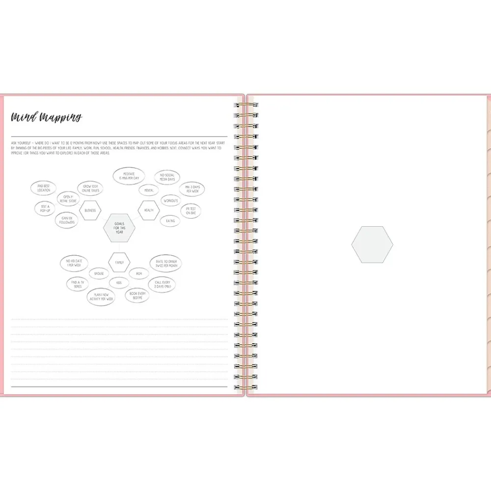 Academic Planners|Blue Sky 2024-2025 Ivory Paper Co Flamingo Pink 8" x 10" Academic Monthly Planner, Plastic Cover (146896)