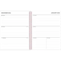 2025 Planners|Blue Sky 2025 Joselyn 8.5" x 11" Weekly & Monthly Planner, Plastic Cover, Multicolor (110394-25)