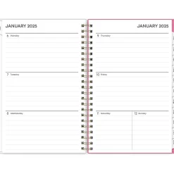 2025 Planners|Blue Sky 2025 Juno Pink 5" x 8" Weekly & Monthly Planner, Plastic Cover, Multicolor (152265)