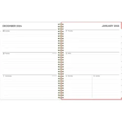 2025 Planners|Blue Sky 2025 Lanissa 8.5" x 11" Weekly & Monthly Planner, Plastic Cover, Multicolor (152255)