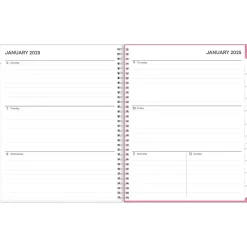 2025 Planners|Blue Sky 2025 Lucidity 8.5" x 11" Weekly & Monthly Planner, Plastic Cover, Pink/Blue (150785)