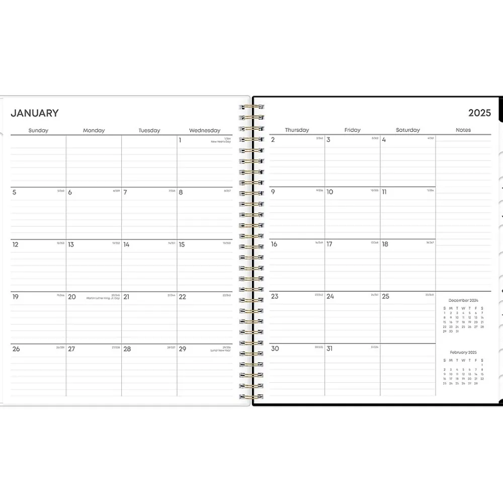 2025 Planners|Blue Sky 2025 Nevaeh 8" x 10" Monthly Planner, Plastic Cover, Multicolor (143947-25)