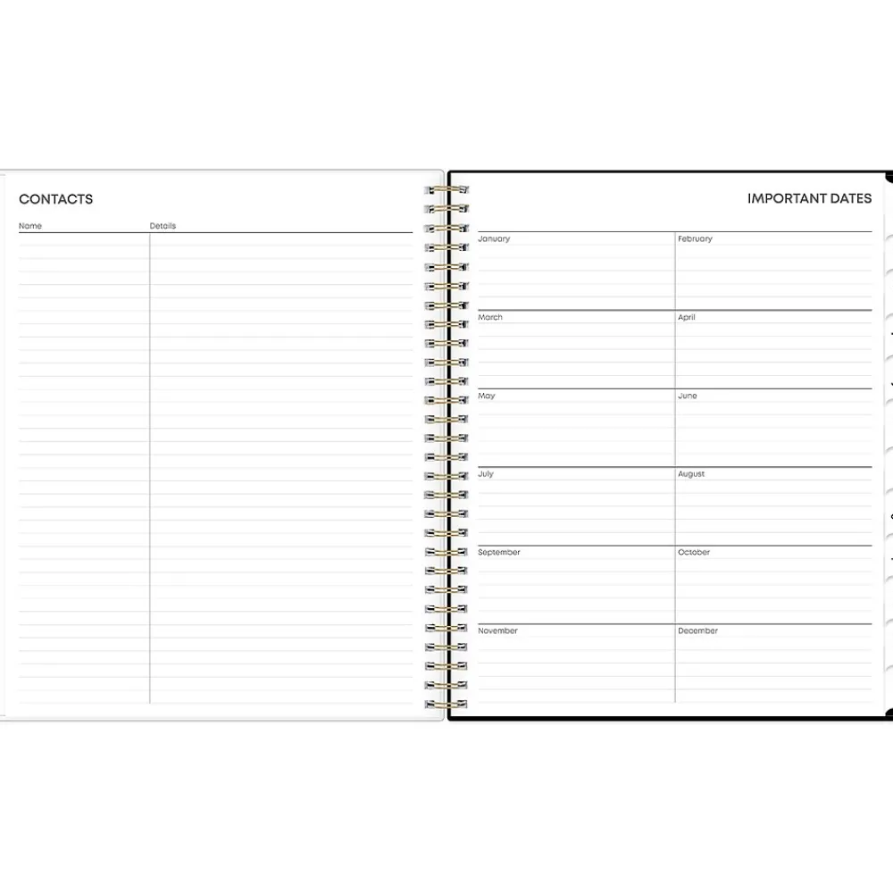 2025 Planners|Blue Sky 2025 Nevaeh 8" x 10" Monthly Planner, Plastic Cover, Multicolor (143947-25)