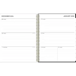 2025 Planners|Blue Sky 2025 Nevaeh 8.5" x 11" Weekly & Monthly Planner, Plastic Cover, Multicolor (143945-25)
