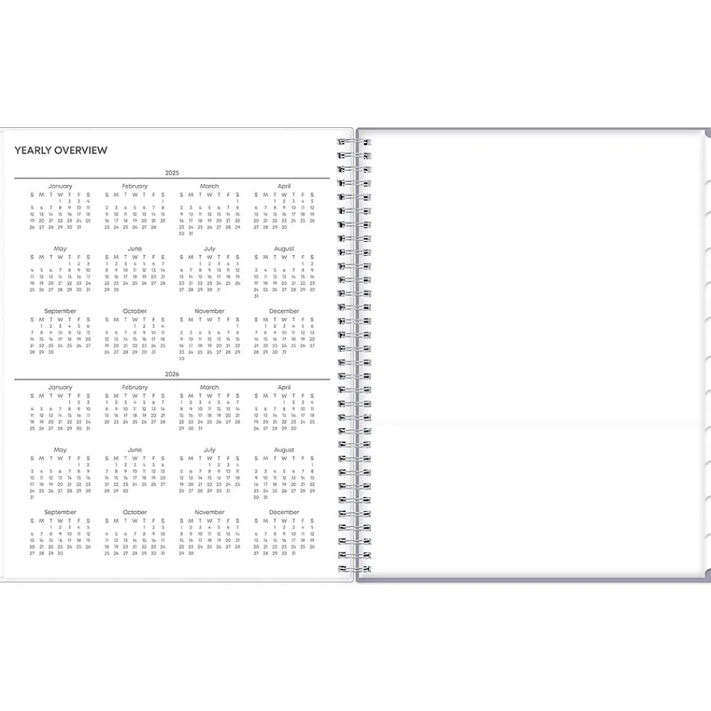 2025 Planners|Blue Sky 2025 Rue Du Flore 8.5" x 11" Weekly & Monthly Planner, Plastic Cover, Green/Gray (101602-25)