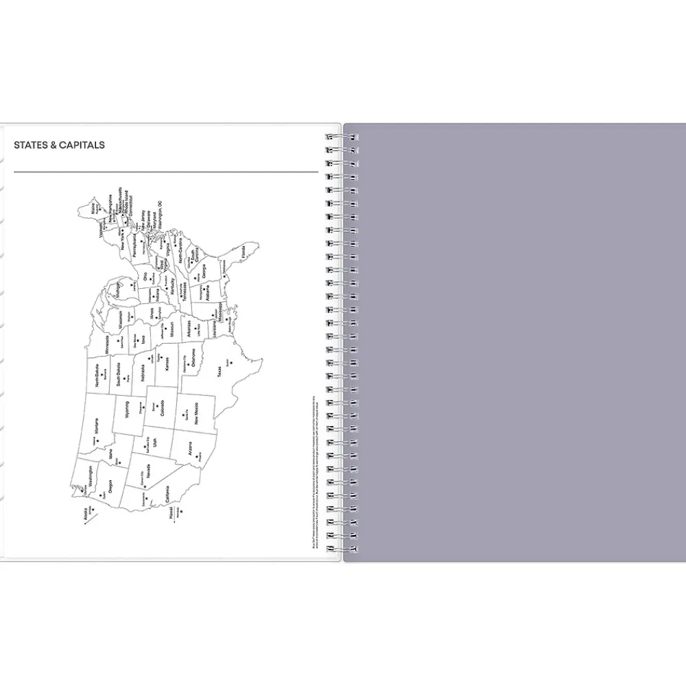 2025 Planners|Blue Sky 2025 Rue Du Flore 8.5" x 11" Weekly & Monthly Planner, Plastic Cover, Green/Gray (101602-25)