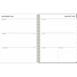 2025 Planners|Blue Sky 2025 Sophie 8.5" x 11" Weekly & Monthly Planner, Plastic Cover, Multicolor (140087-25)