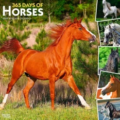 2025 Calendars|BrownTrout 2025 365 Days of Horses 12" x 12" Monthly Wall Calendar (9781975477165)
