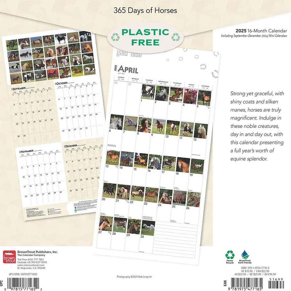 2025 Calendars|BrownTrout 2025 365 Days of Horses 12" x 12" Monthly Wall Calendar (9781975477165)