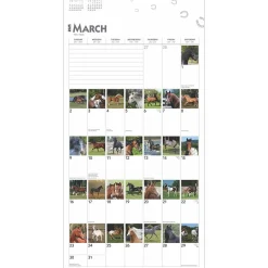 2025 Calendars|BrownTrout 2025 365 Days of Horses 12