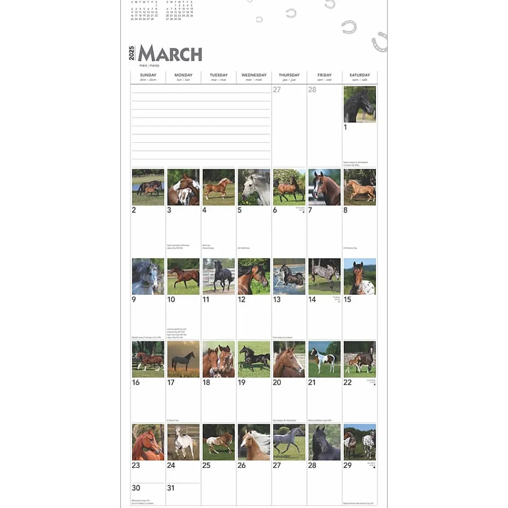 2025 Calendars|BrownTrout 2025 365 Days of Horses 12" x 12" Monthly Wall Calendar (9781975477165)