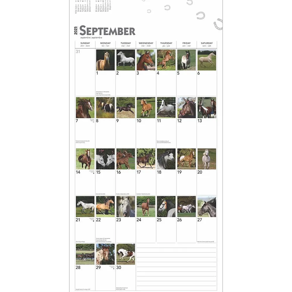 2025 Calendars|BrownTrout 2025 365 Days of Horses 12" x 12" Monthly Wall Calendar (9781975477165)