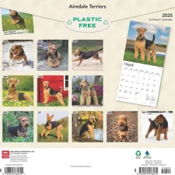2025 Calendars|BrownTrout 2025 Airedale Terriers 12" x 12" Monthly Wall Calendar (9781975476472)