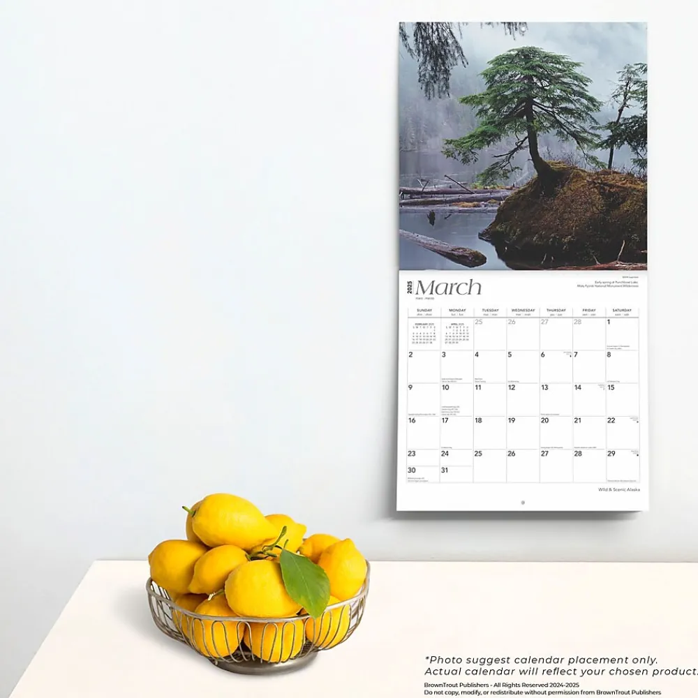 2025 Calendars|BrownTrout 2025 Alaska Wild & Scenic 12" x 24" Monthly Square Wall Calendar (9781975474430)
