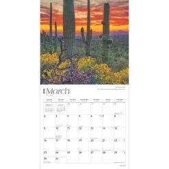 2025 Calendars|BrownTrout 2025 America 12