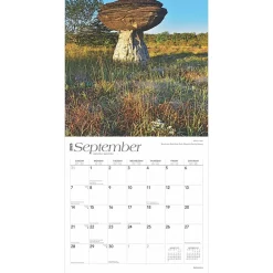 2025 Calendars|BrownTrout 2025 America 12