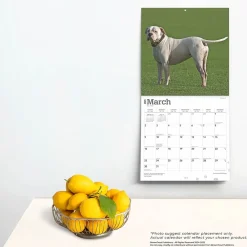2025 Calendars|BrownTrout 2025 American Bulldogs 12