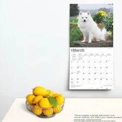 2025 Calendars|BrownTrout 2025 American Eskimo Dogs 12