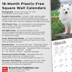 2025 Calendars|BrownTrout 2025 American Eskimo Dogs 12