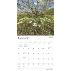 2025 Calendars|BrownTrout 2025 Arkansas Wild & Scenic 12