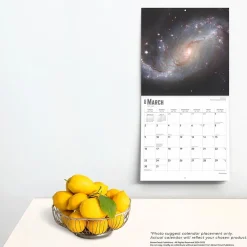 2025 Calendars|BrownTrout 2025 Astronomy 12