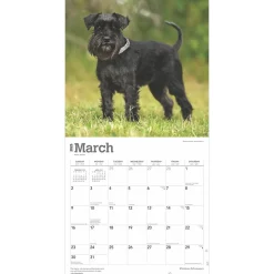 2025 Calendars|BrownTrout 2025 ature Schnauzers 12