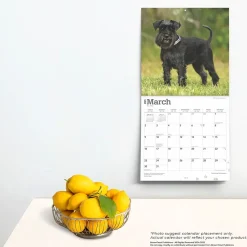 2025 Calendars|BrownTrout 2025 ature Schnauzers 12