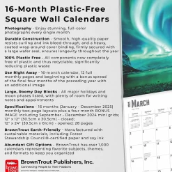 2025 Calendars|BrownTrout 2025 Aurora Borealis Les aurores boréales 12