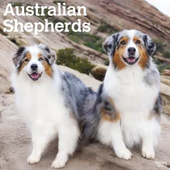 2025 Calendars|BrownTrout 2025 Australian Shepherds 12" x 12" Monthly Wall Calendar (9781975476557)