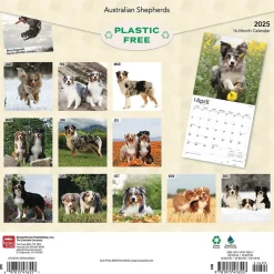 2025 Calendars|BrownTrout 2025 Australian Shepherds 12" x 12" Monthly Wall Calendar (9781975476557)