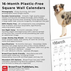 2025 Calendars|BrownTrout 2025 Australian Shepherds 12