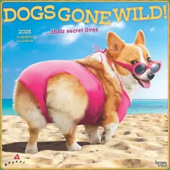 2025 Calendars|BrownTrout 2025 Avanti Dogs Gone Wild 12" x 12" Monthly Wall Calendar (9781975479671)